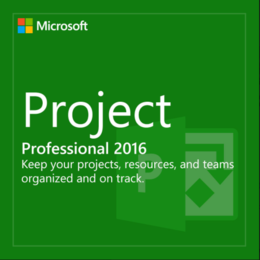 פרוג'קט 2016 פרו / Microsoft Project Professional 2016