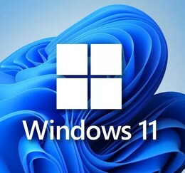 Windows 11 Pro / ווינדוס 11 פרו